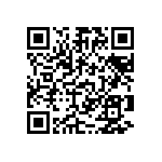 RT1206FRD0762KL QRCode