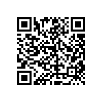 RT1206FRD0795K3L QRCode