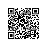 RT1206FRE071K96L QRCode
