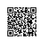 RT1206FRE07383RL QRCode