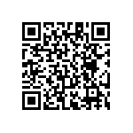 RT1206FRE0743R2L QRCode