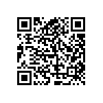 RT1206FRE078R2L QRCode