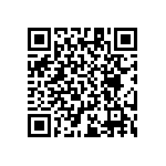 RT1206WRB07196KL QRCode