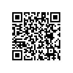 RT1206WRB0751K1L QRCode