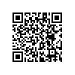 RT1206WRC0724K9L QRCode