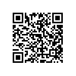 RT1210WRD079K53L QRCode