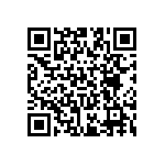 RT2512BKE071K3L QRCode