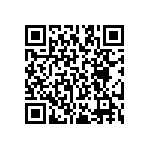 RT2512FKE0795K3L QRCode