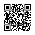 RT334005F QRCode