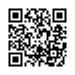 RT9011-GSGQWC QRCode