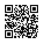 RT9013-12GB QRCode