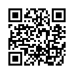 RT9013-33GQW QRCode