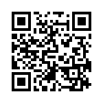 RT9041E-10GQW QRCode