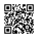 RT9193-33GF QRCode