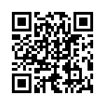 RT9728BLGQW QRCode