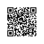 RV0805FR-07300KL QRCode