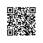 RWR80S1R91FRB12 QRCode