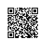 RWR81NR300FSRSL QRCode