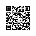 RWR82SR953FSBSL QRCode