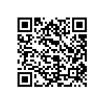 S25FL127SABMFIZ01 QRCode