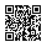 SG137AIG-883B QRCode