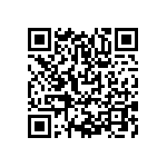 SIT1602BC-22-28S-24-576000D QRCode