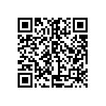 SIT1602BI-21-33S-74-176000D QRCode