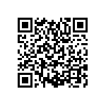 SIT1602BI-31-28N-33-333300X QRCode