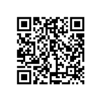 SIT1602BI-31-30S-28-636300T QRCode