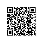 SQJB90EP-T1_GE3 QRCode