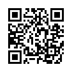 T101L1H9V3BE QRCode