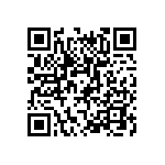 T11-4-3-00A-01-31A-V QRCode