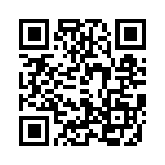 T30604530000G QRCode