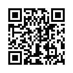 T38001-09-0 QRCode