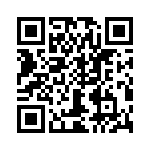 T38008-04-0 QRCode