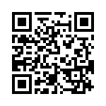 T38013-13-0 QRCode