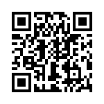 T38013-20-0 QRCode