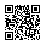 T38022-22-0 QRCode