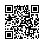 T38027-17-0 QRCode