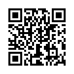 T38028-22-0 QRCode