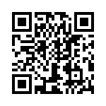 T38028-25-0 QRCode