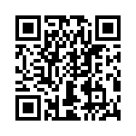 T38031-02-0 QRCode