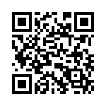 T38040-17-0 QRCode