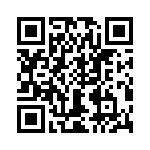 T38042-02-0 QRCode