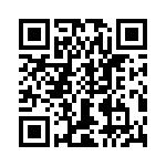 T38065-02-0 QRCode