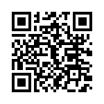 T38067-13-0 QRCode