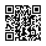 T38077-13-0 QRCode