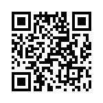 T38100-10-0 QRCode