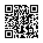 T38100-13-0 QRCode