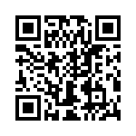 T38102-09-0 QRCode